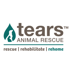 Tears animal rescue